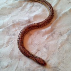 Handcrafted Wooden Snake