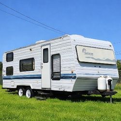 1995 Forest River Salem