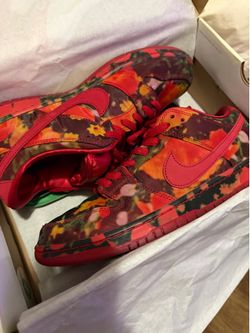 Nike sb dunks size 11.5 wizards of oz dunks