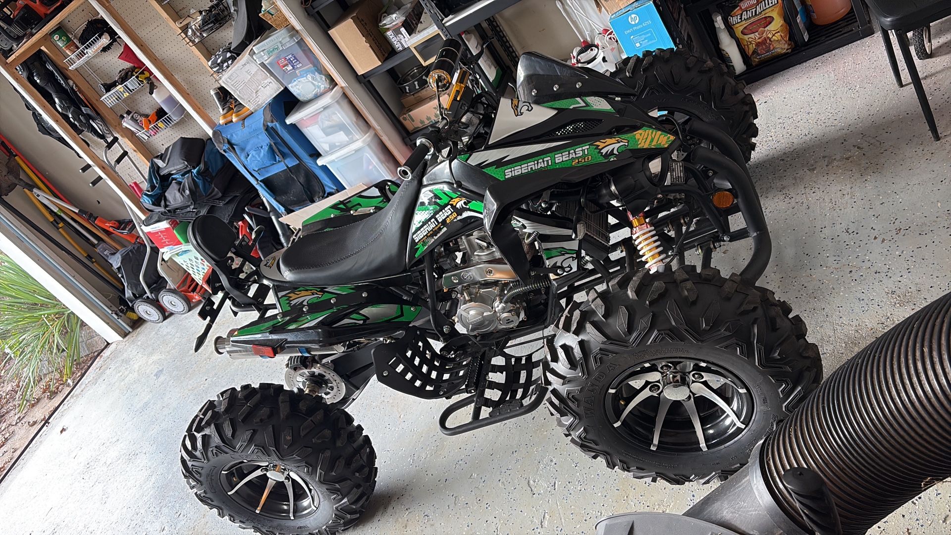 Siberian Beast For Sale !!!