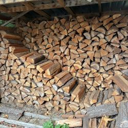 Firewood