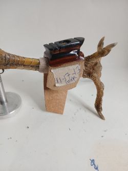 Gallos BOTANA 11-17-13