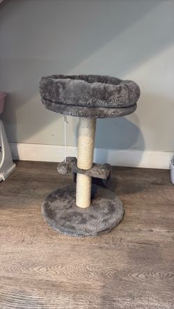 Cat post