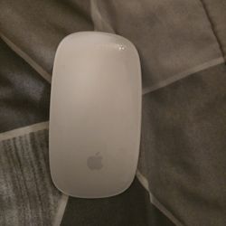 Apple Bluetooth Wireless Mouse