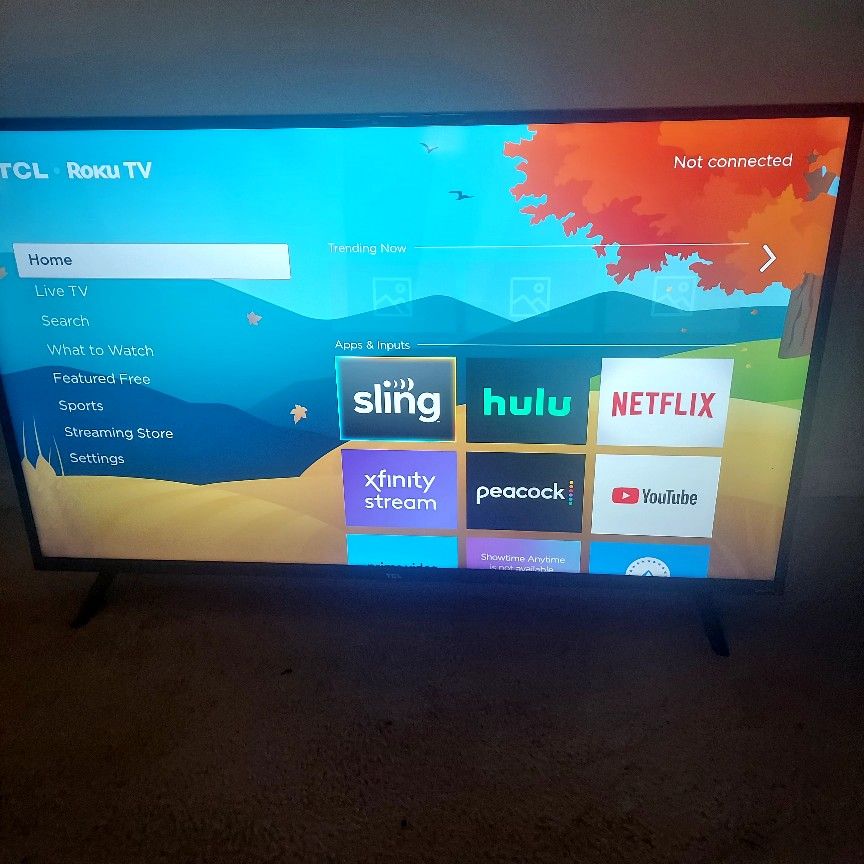 Like 52in Roku Tv