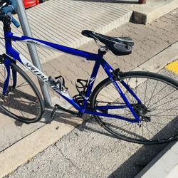 Specialized Bicycle