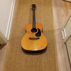 Acoustic Guitar 