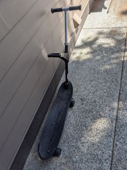 Pookie skateboard kids