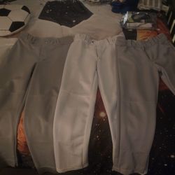 Youth Baseball Pants