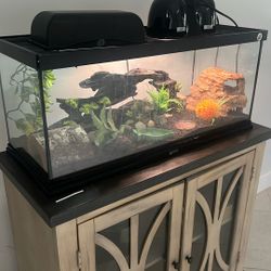 Reptile Tank