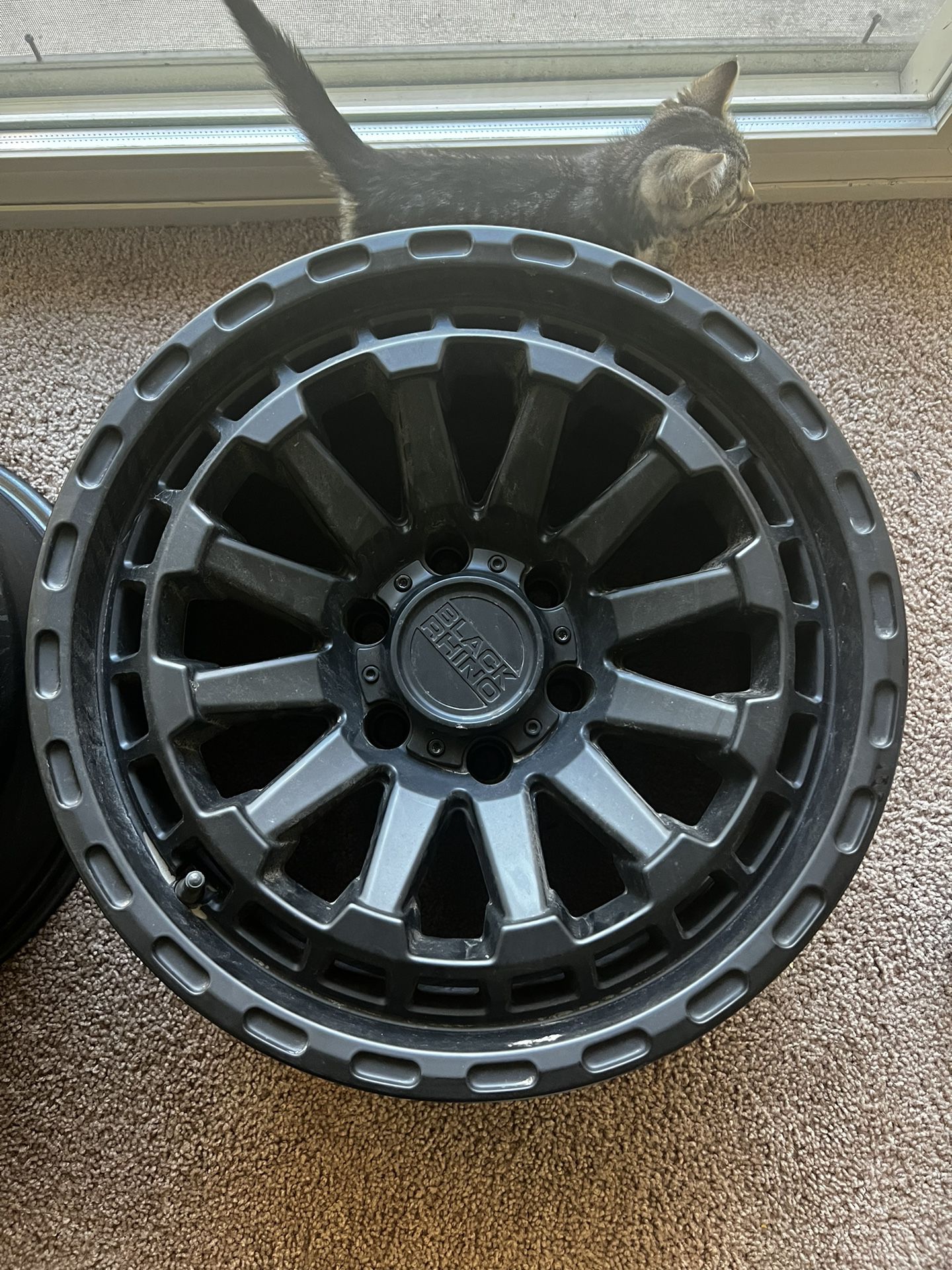 17x8.5 Black Rhino Wheels