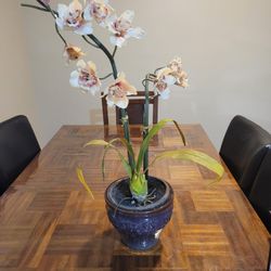 Artificial Orchid Flower With Ceramic Pot