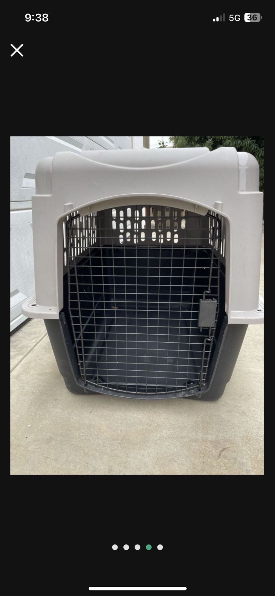 Pet Taxi For Large Dogs
