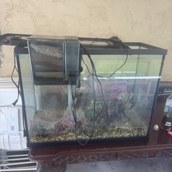 FREE AQUARIUM + STAND
