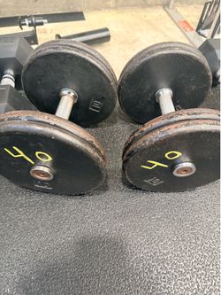 40 lb dumbbells
