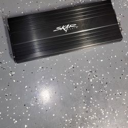 Skaraudio 3500.1 Amp