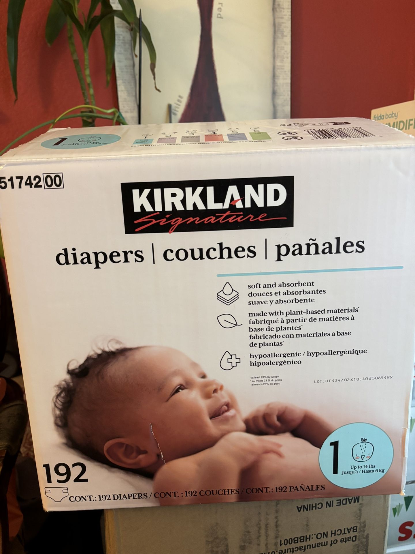 Kirkland Diapers