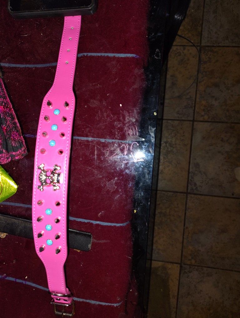Pink Spike Dog Collar Large