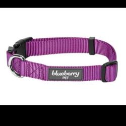 wonderful Brand Blueberry Pet Essentials violet colour Classic Dog Collars Personalized Dog Collars