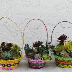 3 brand new baskets Perfect for easter Best deal 8 for $20 Plants sold separately see detail