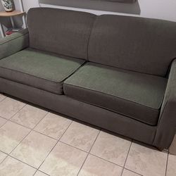 Pull Out Couch PICK UP ONLY 