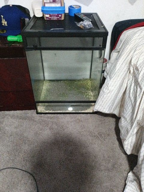 Reptile Tank