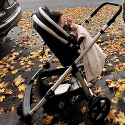 Mom Push Stroller (Infant & Toddler)
