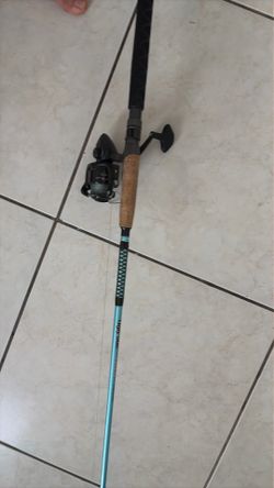 Rod and reel