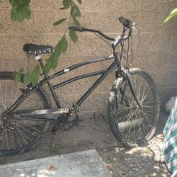 Beach Cruiser
