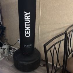Cardio Punching Bag