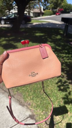 Strawberry Coach Bag