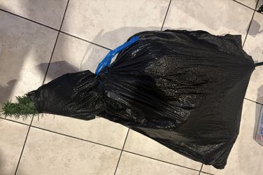 6 Feet Christmas Tree 