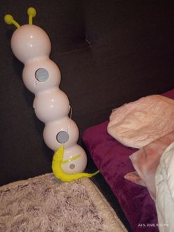 Cat toy