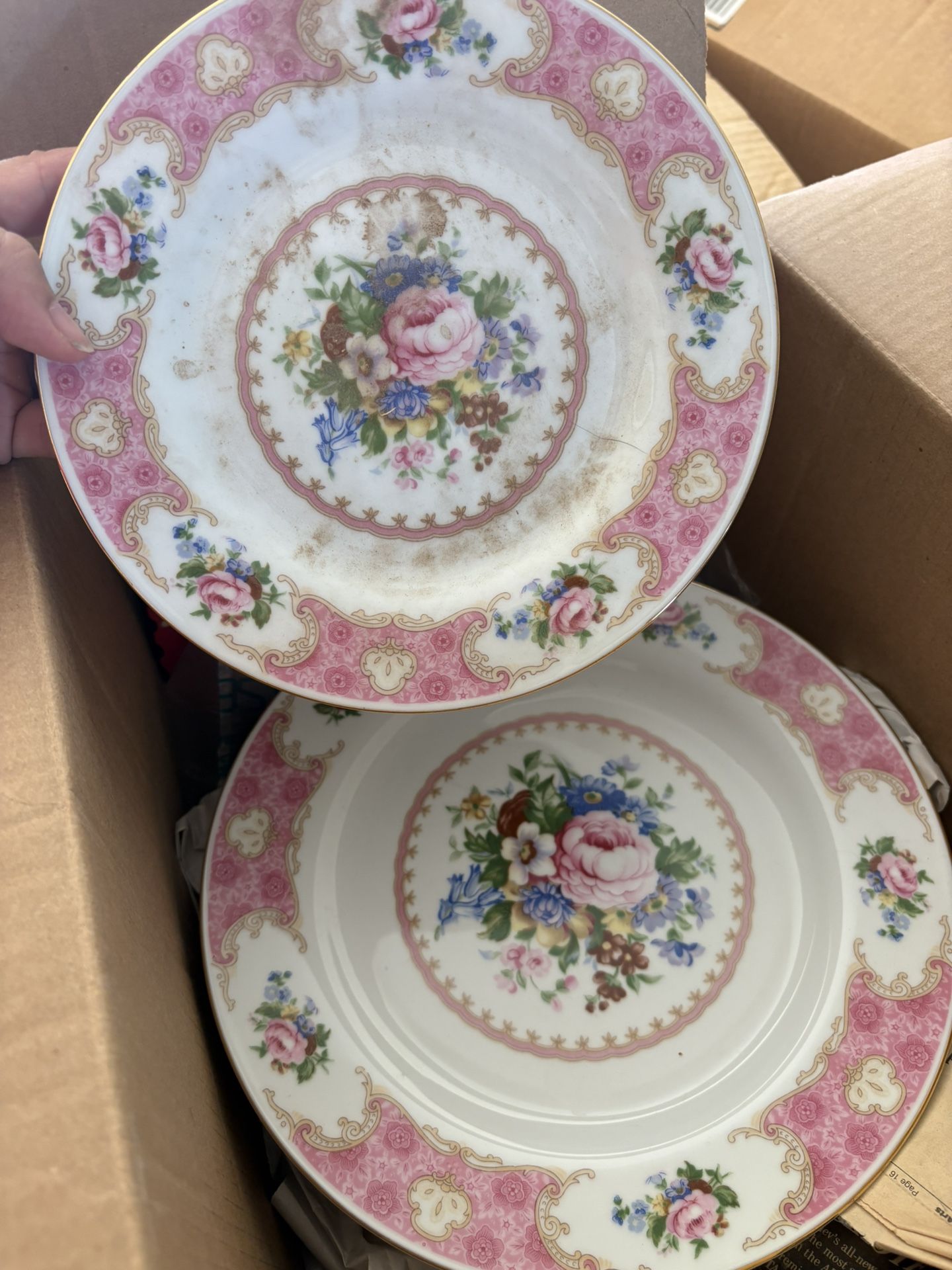 Rosechintz Remington Plates