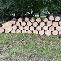 Free Firewood