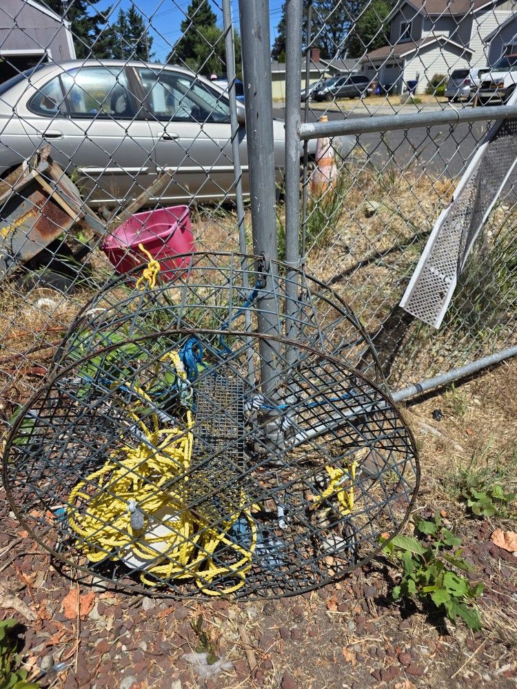 Crab Pot