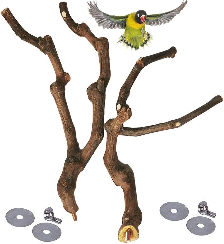 Natural Parrot Perch Bird Stand Pole Wild Grape Stick Paw Grinding Fork Parakeet Climbing Standing Branches Toy Chewable Cage Accessories 