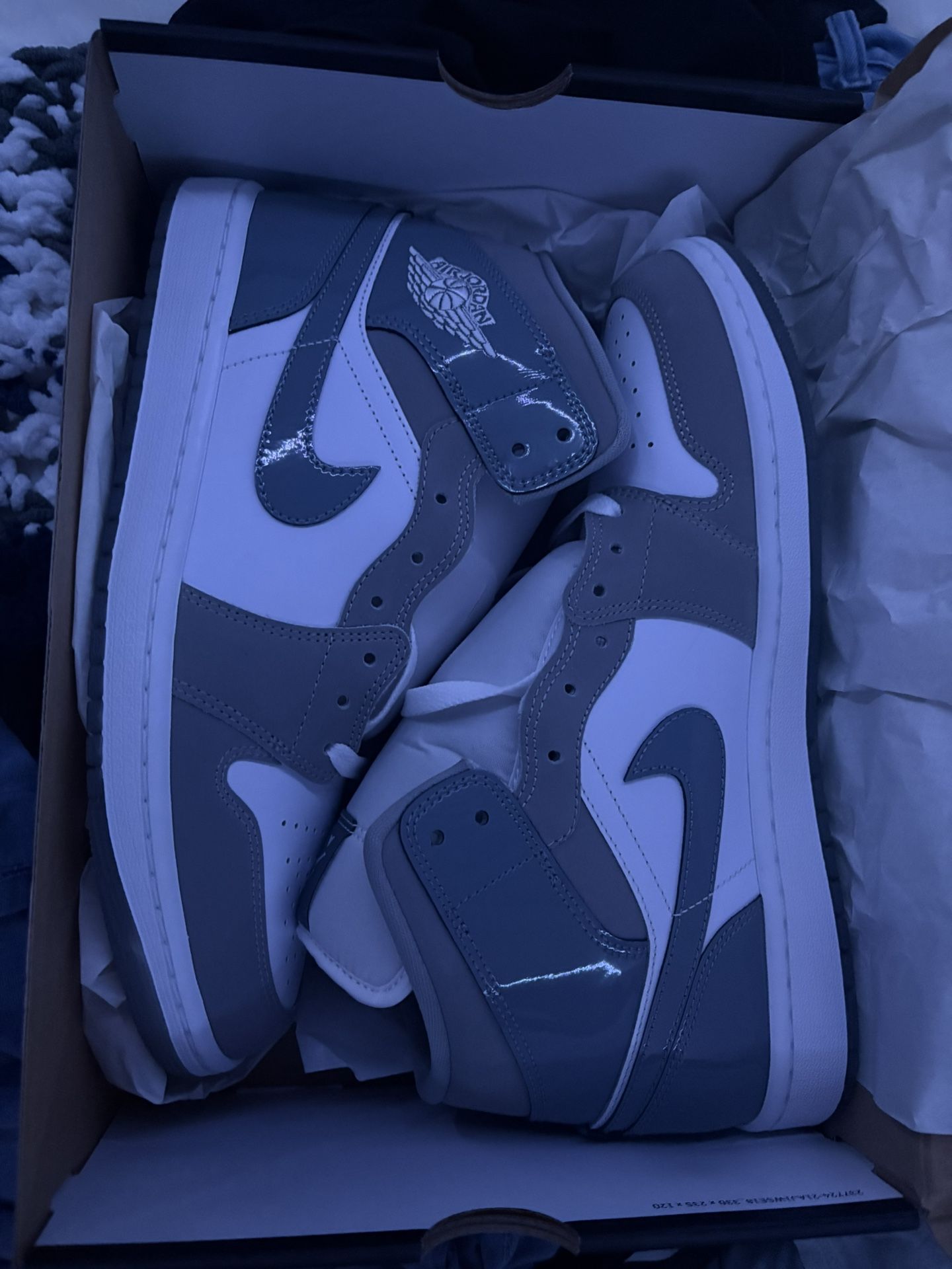 Jordan 1 Cool Gray Size 10.5