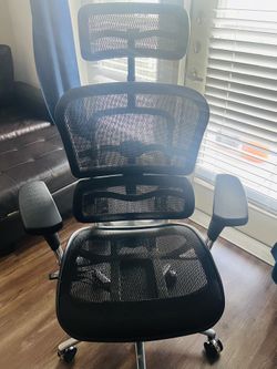 Ergonomic Office Chair