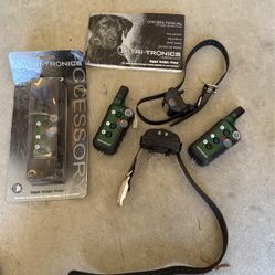 Electronic Dog Training Collar
