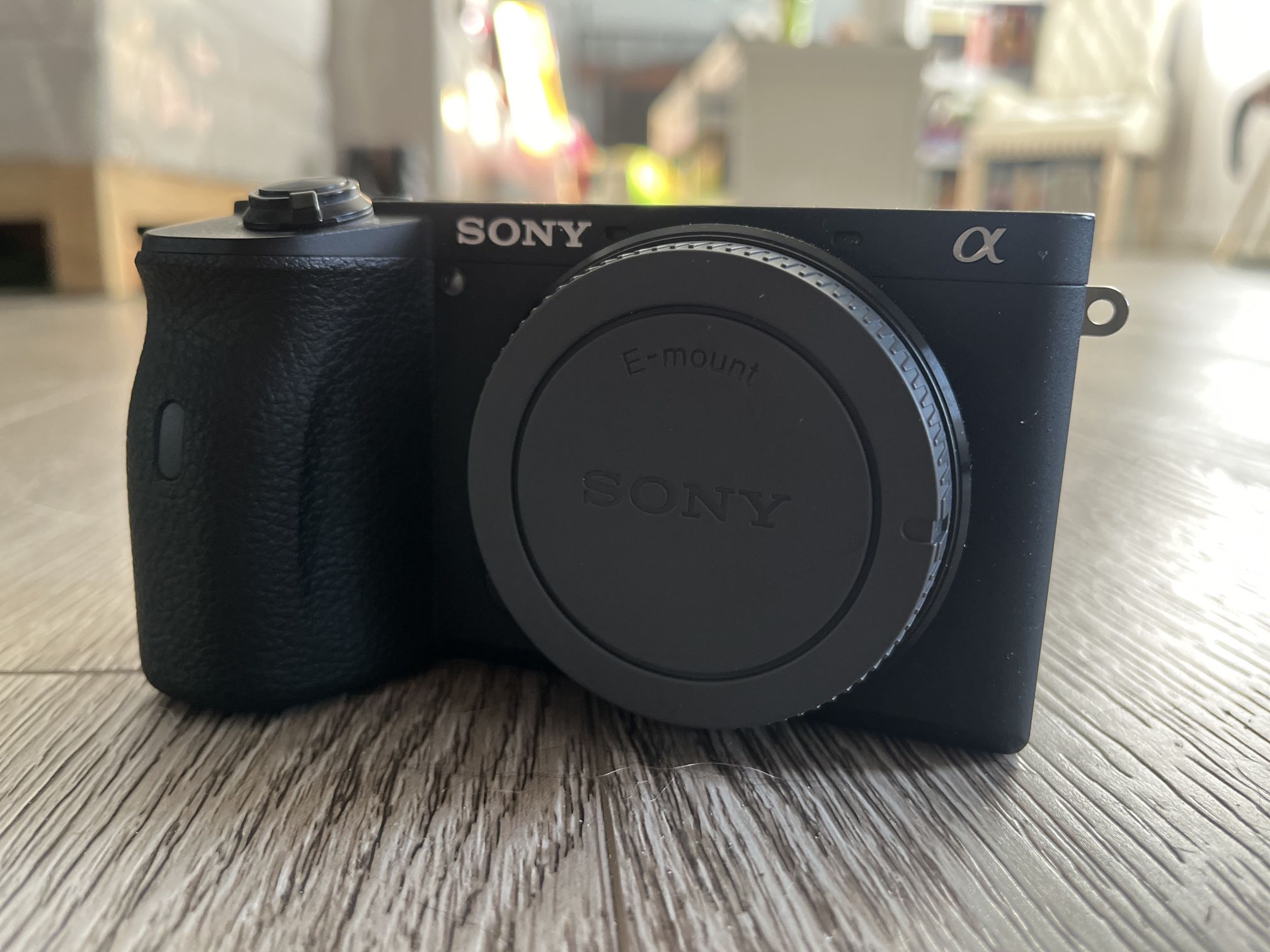 Sony A6600 Camera 
