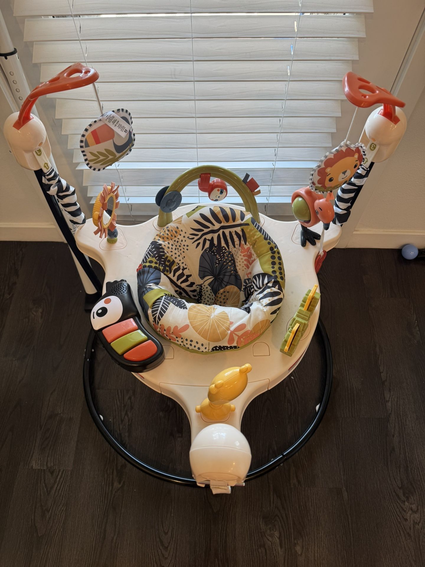 Fisher Price Jumper