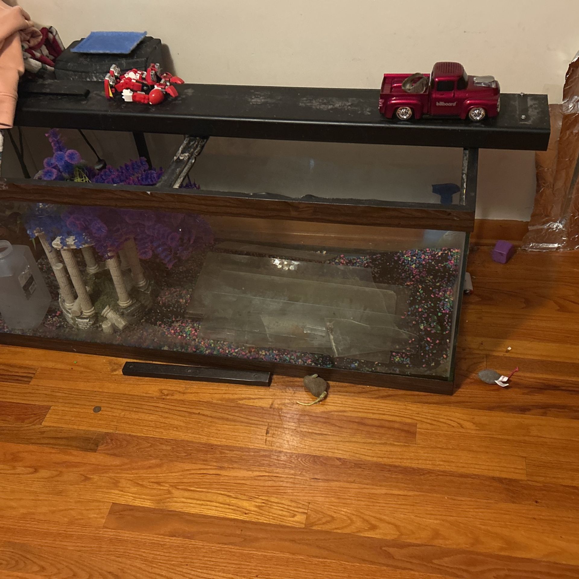 75 Gallon Fishtank Foresail Ready For Fish Or Reptile To Put In It