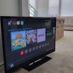 Vizio 55 Tv