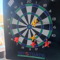 Magnetic Hangin Dart Board 
