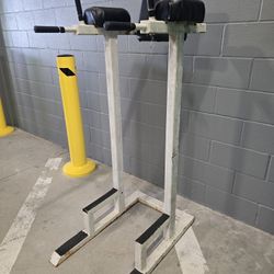 Vertical Body Knee Raise, Dip, Ab Station 