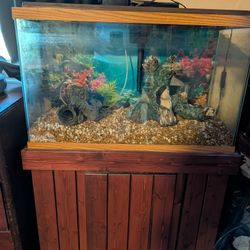 30 Gallon Tank And Accessories 