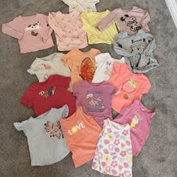 Girls’ Toddler T-Shirts & Long Sleeve Tops – Lot of 3T (Size 3T)