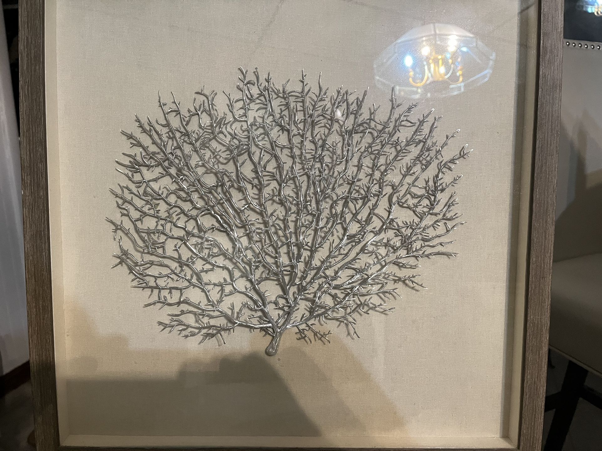 Tree Of Life Picture.