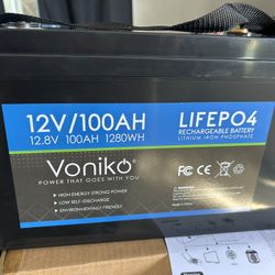 BATERÍAS DE LITIO DE 12v 100ah 